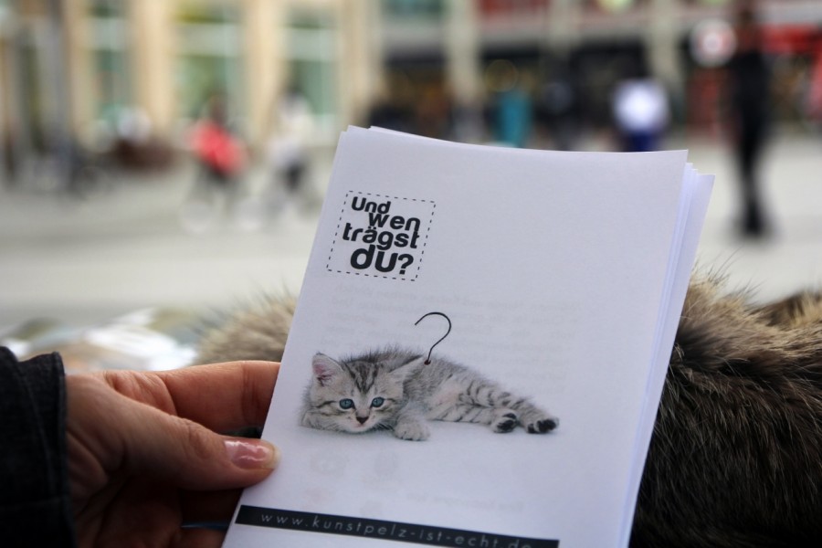 Flyer "Und wen trägst du?" mit einer Katze am Kleiderbügel bei der Anti-Pelz-Aktion